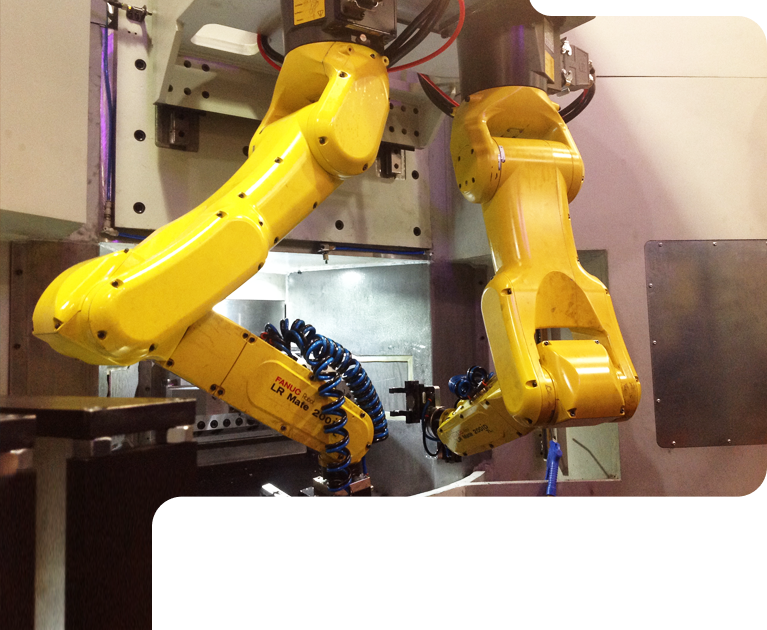 Robotica Asservimento Macchine Transfer